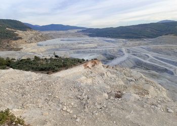 TİP “Muğla’nın doğal güzellikleri sermayenin saldırısı altında”
