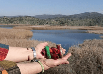 Azap Gölü’nde avcılığı yasaklayın isyanı