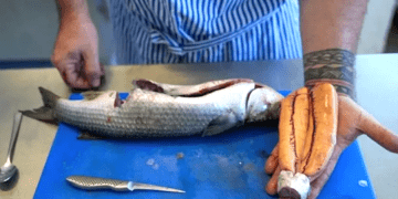 Balıkçılar yakalayıp balmumuyla saklıyor