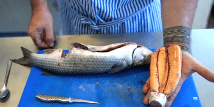 Balıkçılar yakalayıp balmumuyla saklıyor