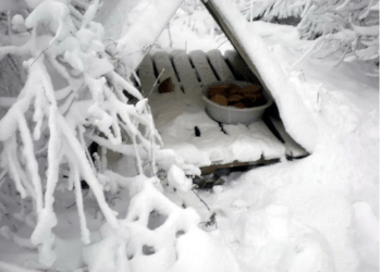 Bodrum ve sahil kesimlerine don uyarısı yapıldı