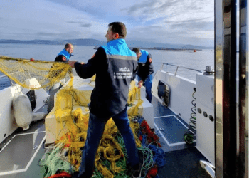 Bodrum açıklarında kaçak avcıların ağları toplandı