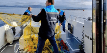 Bodrum açıklarında kaçak avcıların ağları toplandı