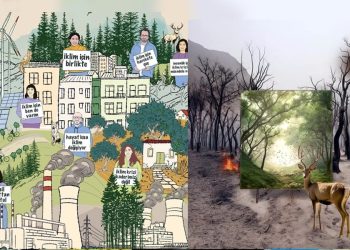 İklim Ağı’ndan TBMM’ye “Doğayı, İnsanı ve İklimi Koruyan Bir Yasa Talep Ediyoruz” “Adil geçişin adı var, mekanizması yok”