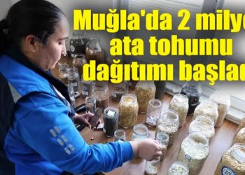 Muğla’da 2 milyon ata tohumu dağıtımı başladı
