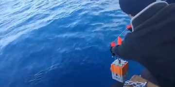 Göçmenlere fırtına engeli ormanda yakalandılar