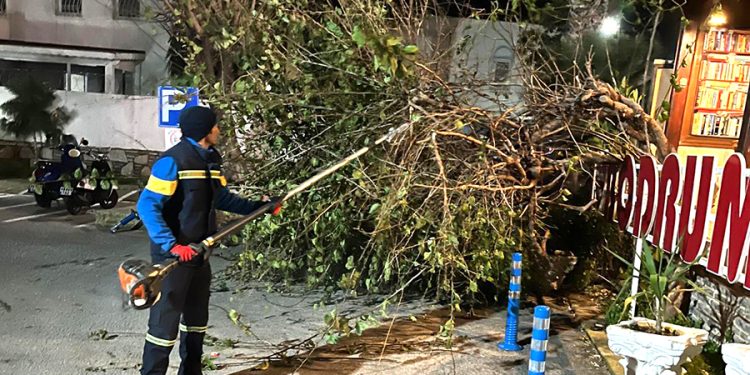Belediye, Olumsuzluklara Karşı Nöbette