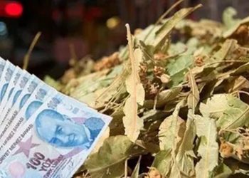 Ege’de korkutan senaryo: Dakikada 2 km ilerleyecek