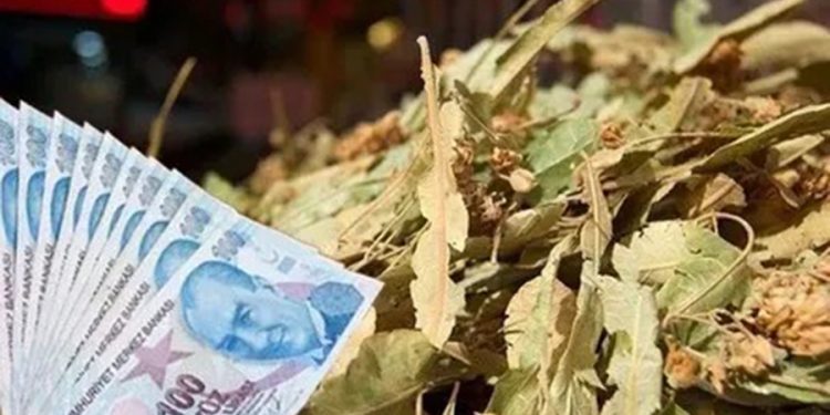 Ege’de korkutan senaryo: Dakikada 2 km ilerleyecek