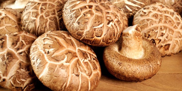 Bir yiyen etin yüzüne bakmıyor: İmparatorların uzun yaşam sırrı