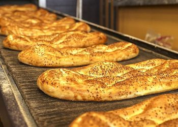 Muğla Su İnisiyatifi: “Termik Santraller Kapatılmalı”