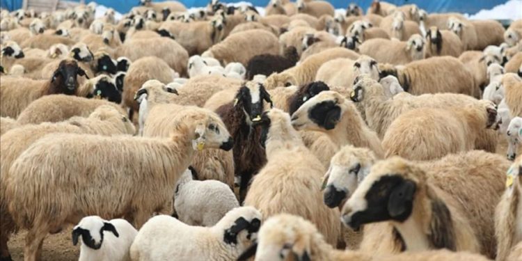 Bakan duyurdu: Sosyal medyaya yeni düzenleme: Kademeli yaş kısıtlaması geliyor