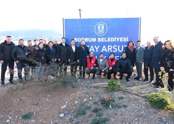 Başkan Mandalinci, Depremzede Vatandaşlarla Buluştu