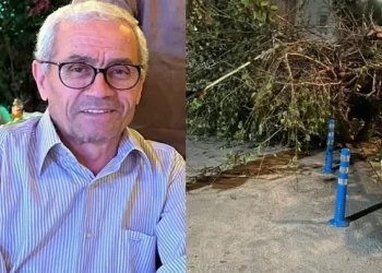 Komşusunun ağacını budarken duvardan düşen kişi yaşamını yitirdi