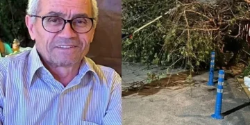 Komşusunun ağacını budarken duvardan düşen kişi yaşamını yitirdi