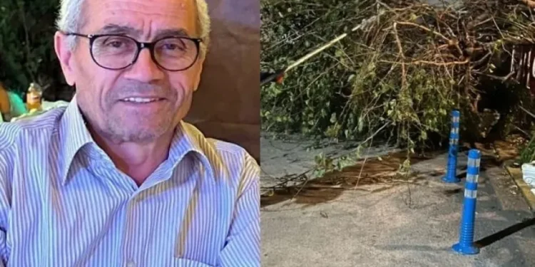 Komşusunun ağacını budarken duvardan düşen kişi yaşamını yitirdi