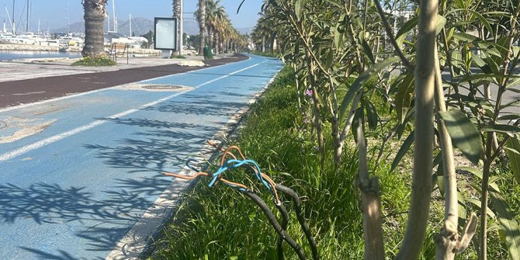 Bodrum Belediyesi Farkında Mı? Can Güvenliğimiz Tehlikede!