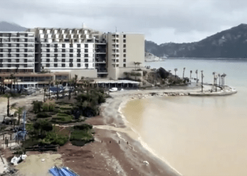 SİNPAŞ’ın çevre felaketine sert tepki gösterdiler