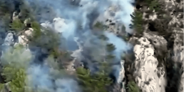 Fethiye’de orman yangını başladı