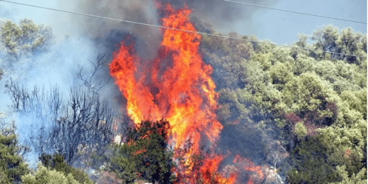 Muğla’da makilik yangını korkuttu
