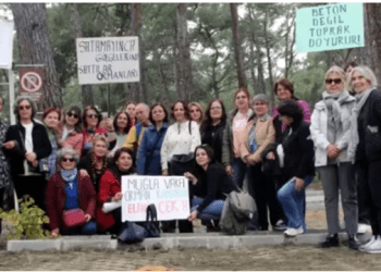 Gökova’da orman yok ediliyor, çevreciler ayakta