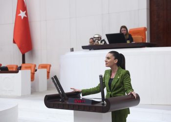 Özcan’dan çağrı: Muğla’da Narenciye Üreticisi Destek Bekliyor