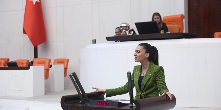 Özcan’dan çağrı: Muğla’da Narenciye Üreticisi Destek Bekliyor