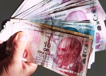 E-Devlet’te bu üç harfi görenlere kötü haber