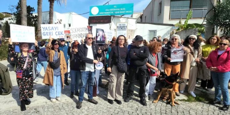 Bodrumlu hayvanseverlerden katliam yasasını iptal et eylemi