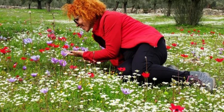 Bodrum’a bahar erken geldi, yürüyüş grupları kırların tadını çıkardı