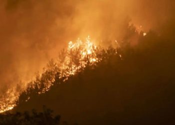 Marmaris’te orman yangınları erozyonu tetikledi