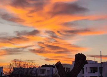 Bodrum’da tedirgin eden görüntü, Hem gerginlikle hem hayranlıkla izlediler