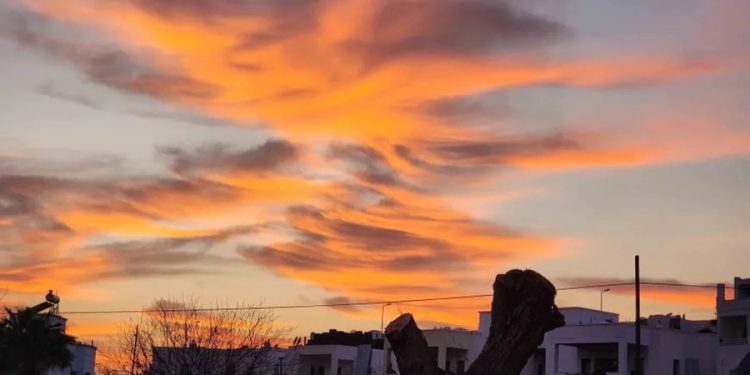 Bodrum’da tedirgin eden görüntü, Hem gerginlikle hem hayranlıkla izlediler
