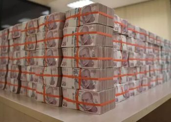 OECD’den Türk ekonomisi için korkutan tahmin