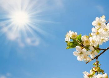 Soğuklar Yerini Bahar Havasına Bırakıyor