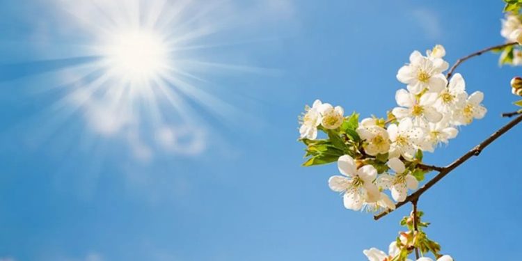 Soğuklar Yerini Bahar Havasına Bırakıyor