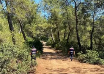 Koruma Altındaki Muğla Ormanlarına Maden Ocağı İzni