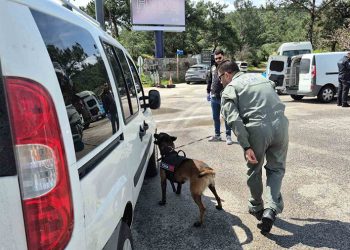 Bodrum’a 24 saatte 10 bin araç girdi
