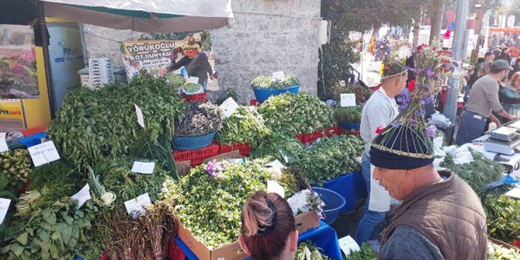 6. Acı Ot Festivali 5-6 Nisan’da