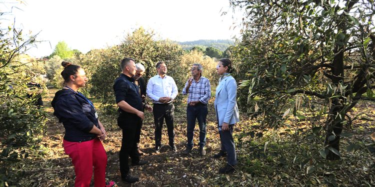 Don Zararını Azaltmak İçin Narenciye Üreticilerine Gübre Dağıtıldı