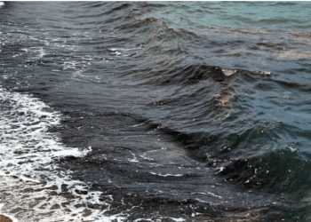 Ortakent’de deniz çöplüğe döndü böyle kirlilik görülmedi