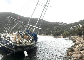 Bodrum’da fırtına yatları karaya savurdu ağaçları devirdi