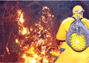 Ormanda ateş yakan şüpheli tutuklandı