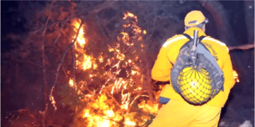 Ormanda ateş yakan şüpheli tutuklandı