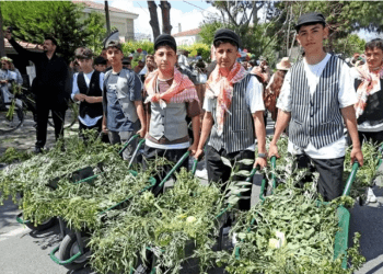 Ot, Enginar ve Çiçek festivalleri bölgeye renk getirecek