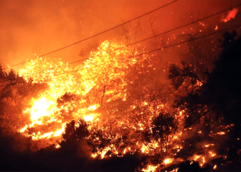Orman yangınları ile mücadele toplantısı yapıldı