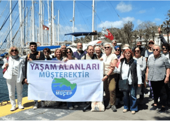Bodrum’da çevreciler şokta