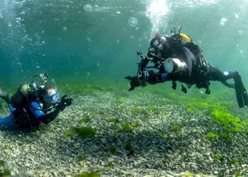 Suyun altındaki gizem: Varlığından haberdar olmadığınız 7 deniz canlısı!