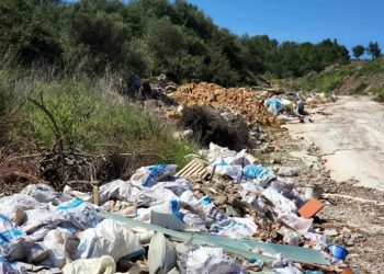 Koruma altındaki Halep çamı ormanını çöplüğü çeviren şirkete 1.6 milyon Lira ceza