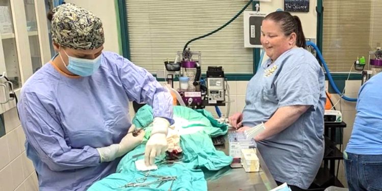 100 yaşında dünyaya getirdi